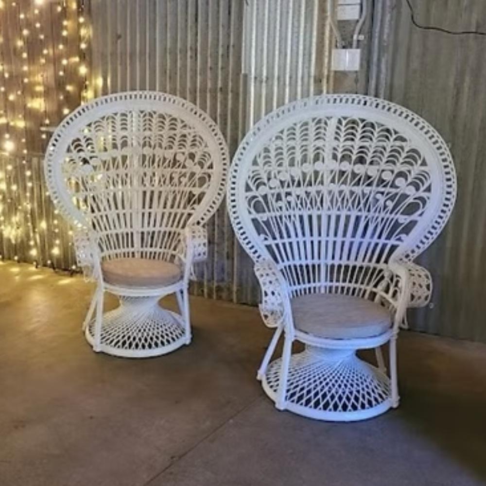 Chair - White Peacock Chair