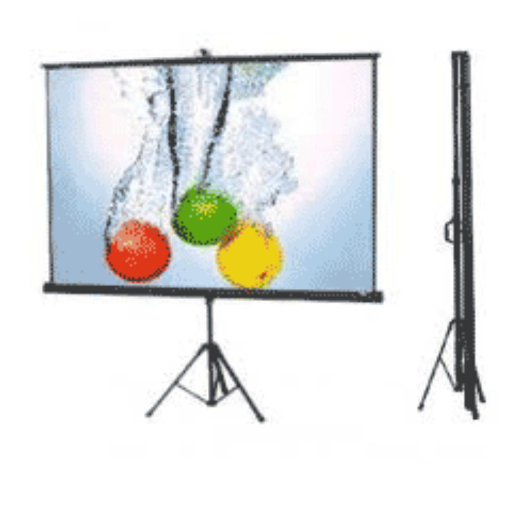 Projector Screen