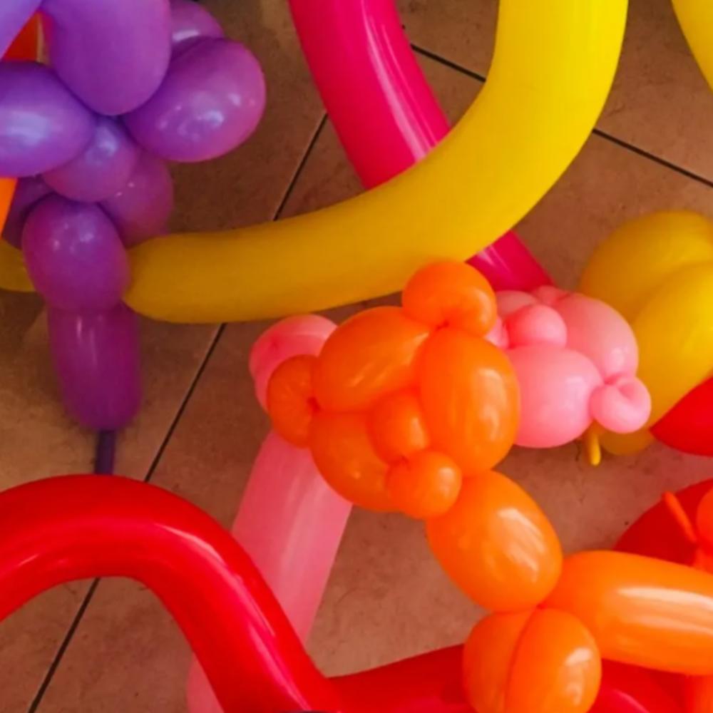 Face Painting & Balloon Twisting (up to 10 kids)