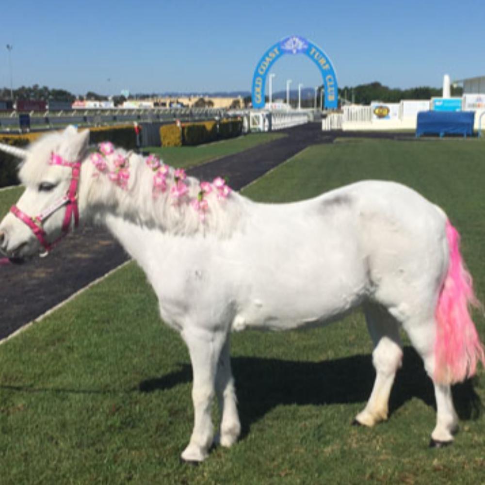 Kids Pony Party (1 pony)