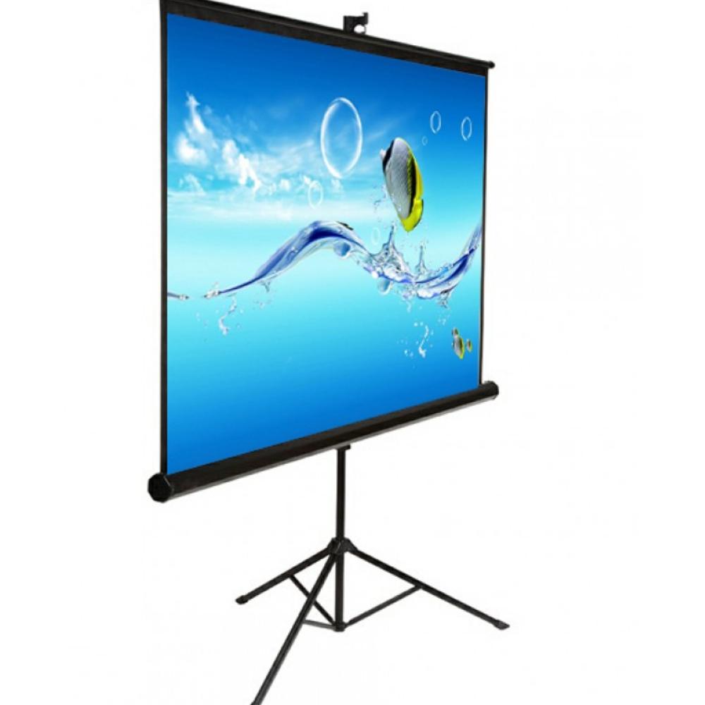 Projector Screen 100 inch