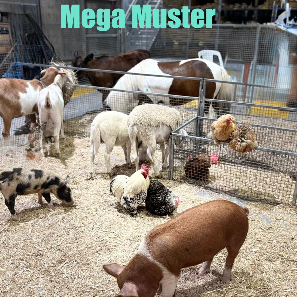 Mega Muster Farm
