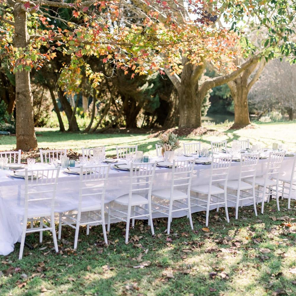 White Tiffany Chairs