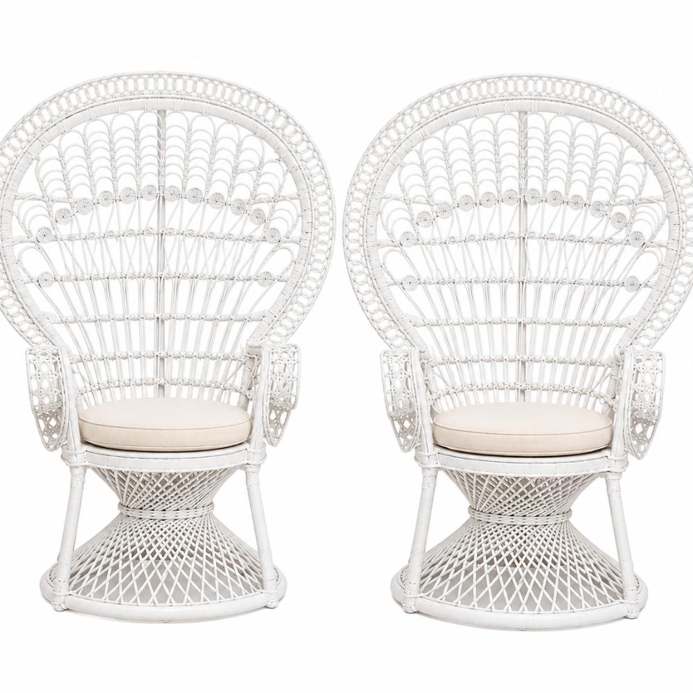 Peacock Chair Lounge Package