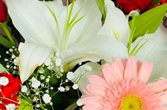 Bouquet