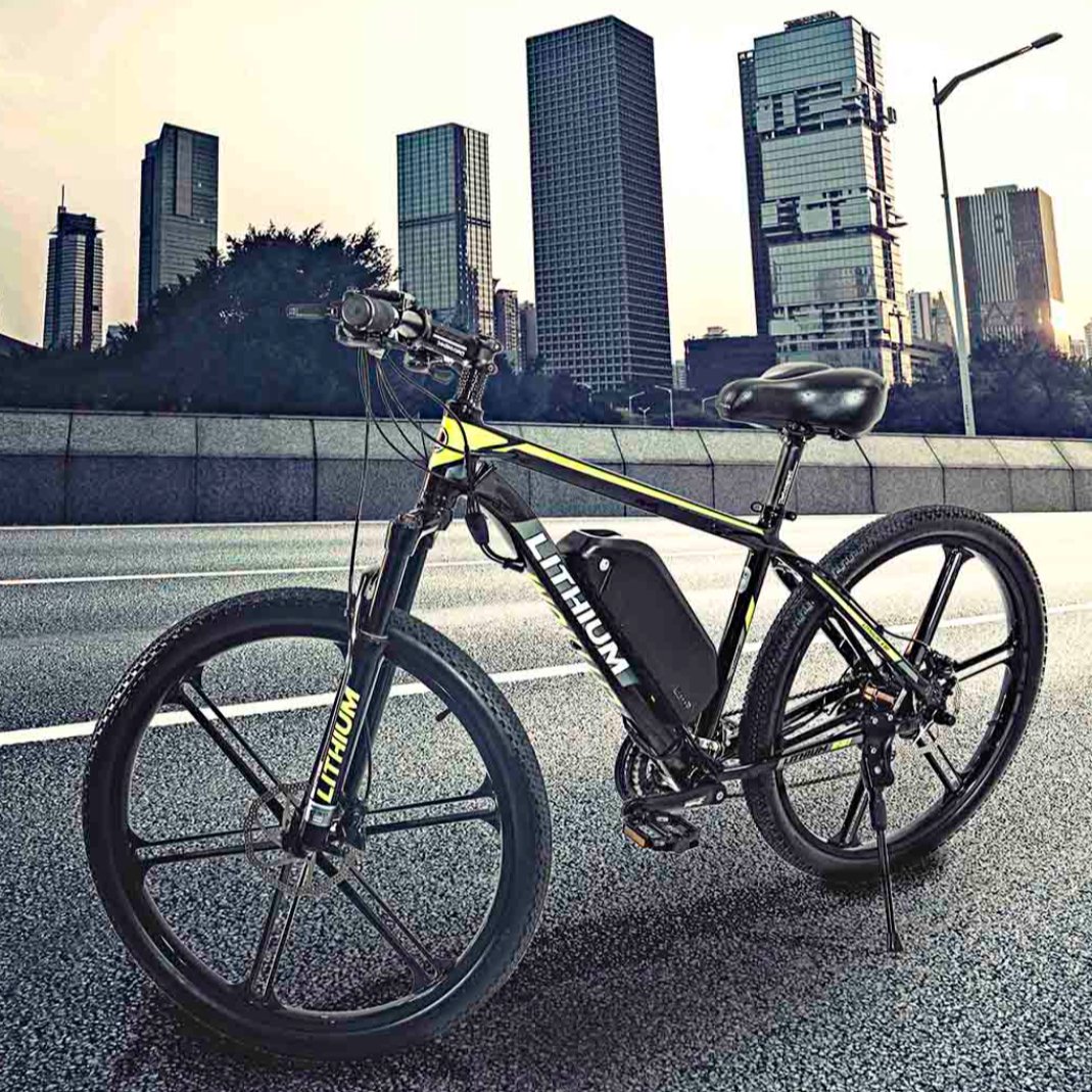 RENAG ebikes