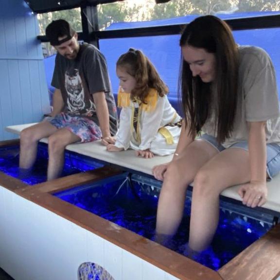 Barefoot Fish Spa Bus