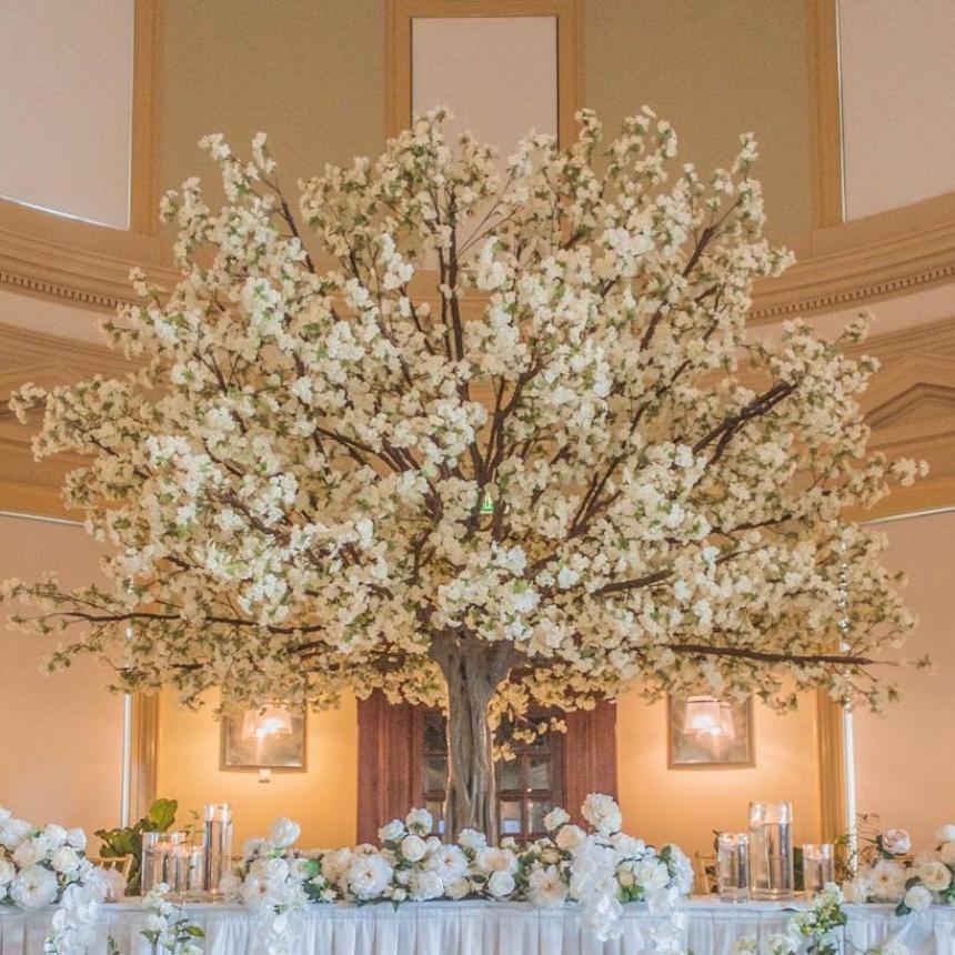 TBT Event Hire
