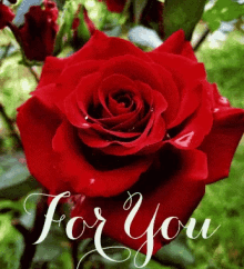 Gift Image