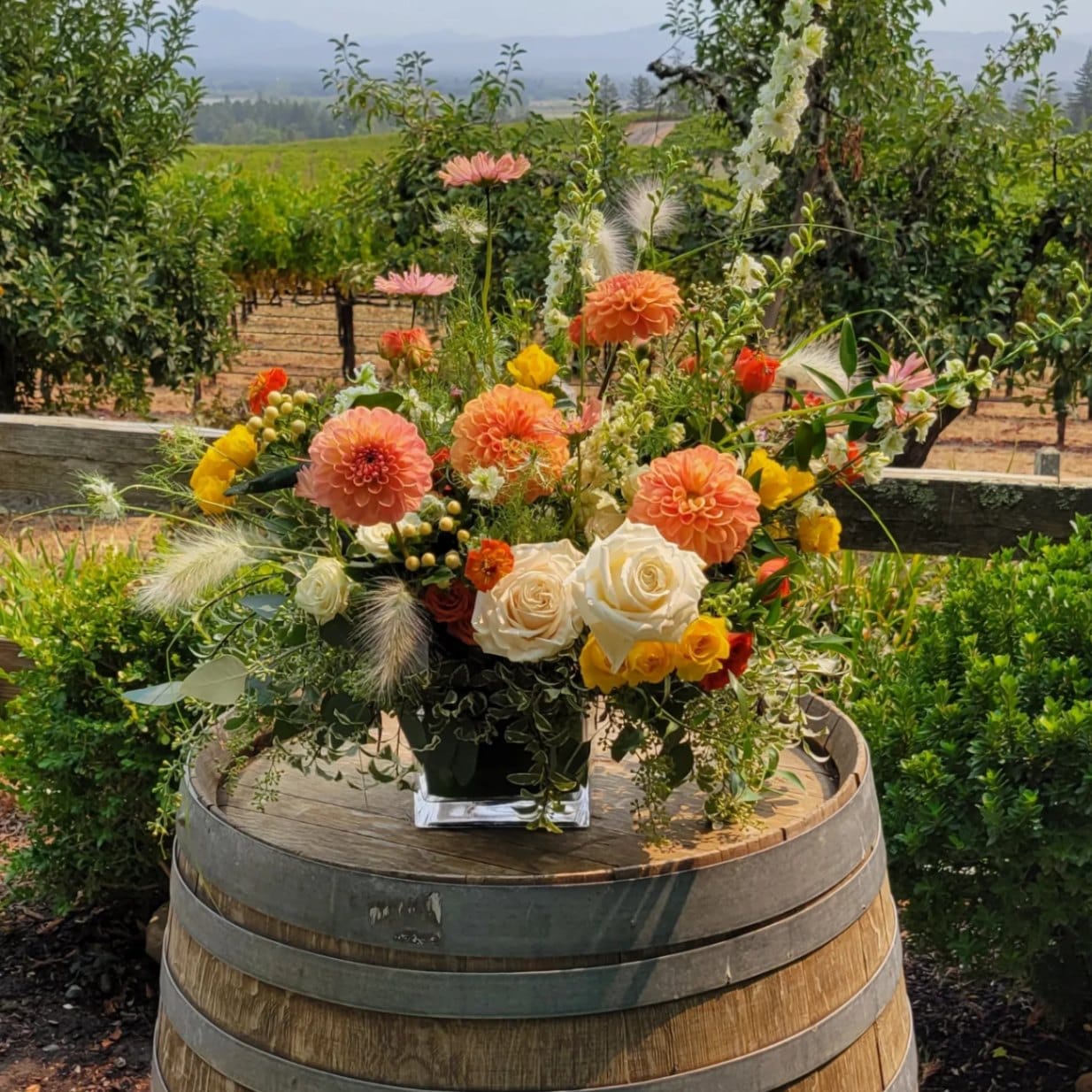 Vine Hill House (Fall) - Sebastopol, CA