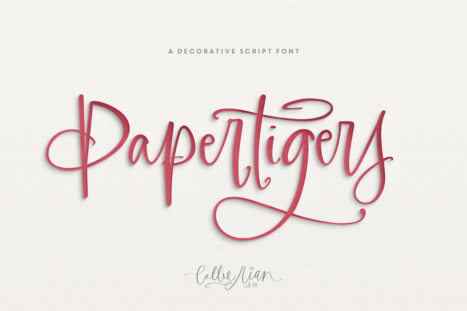 Paper Tigers Script Font Family by Callie Rian & Co Font Bros