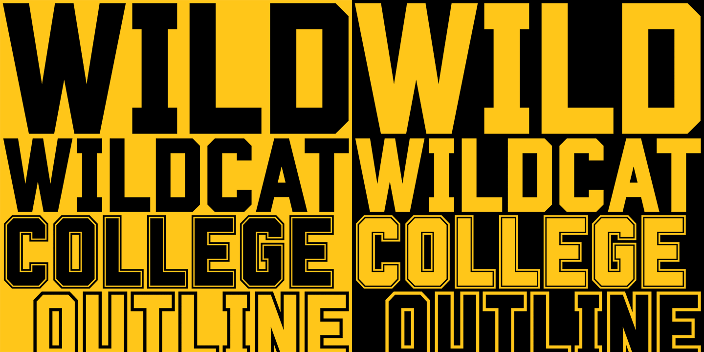 Wildcat font family by k type font bros