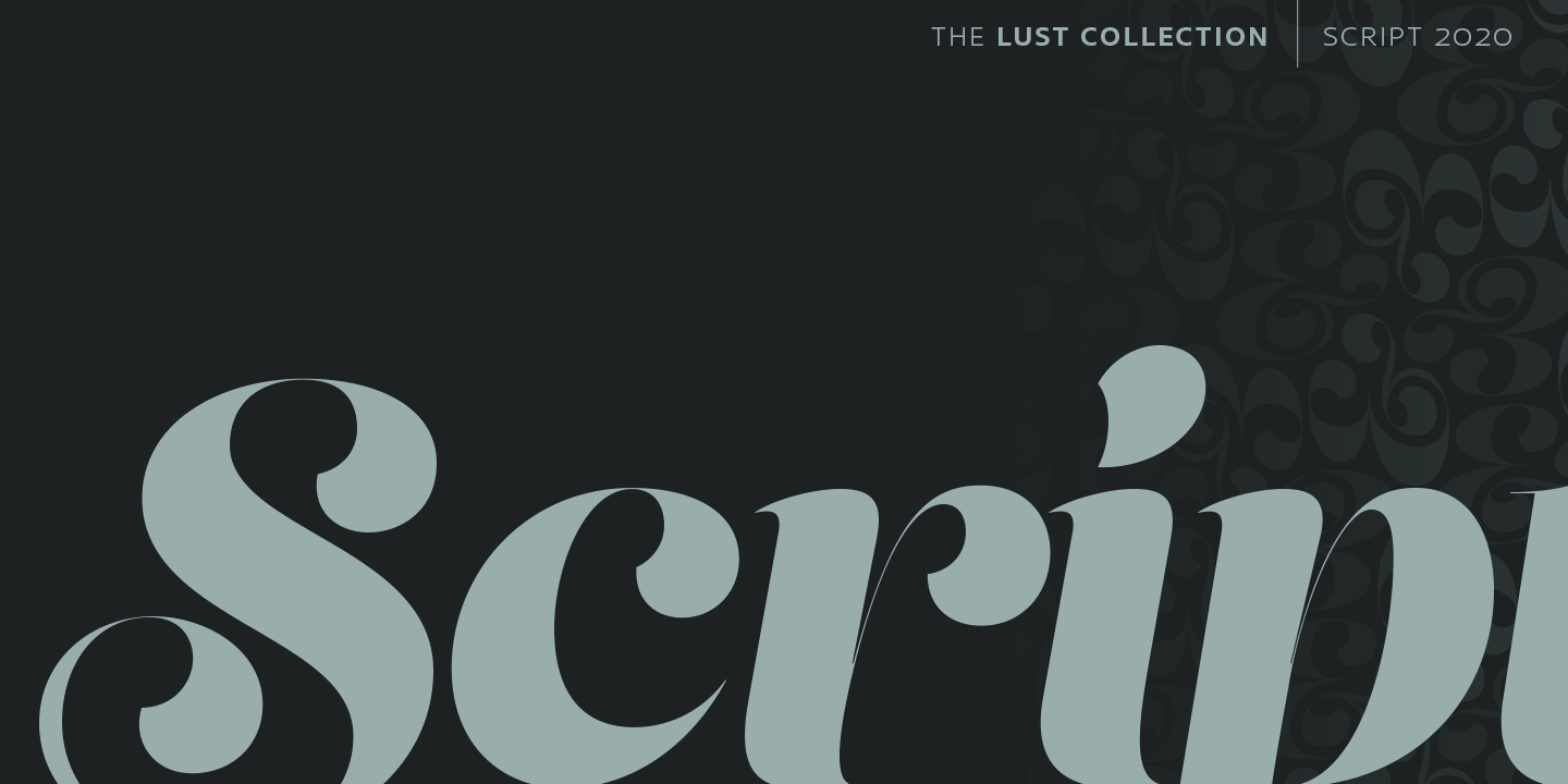 Lust Script Font Family by Positype Font Bros