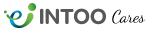 INTOO USA logo