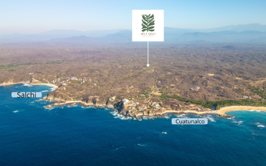 Sixa Nido Salchi Studios