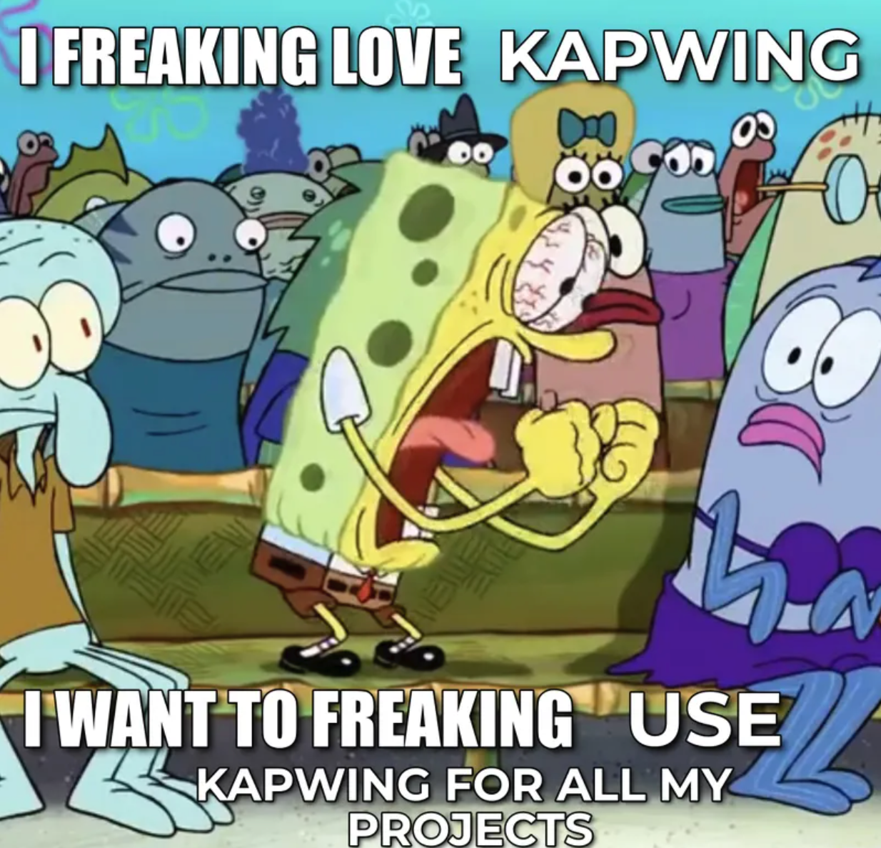 SpongeBob Mock Meme Template