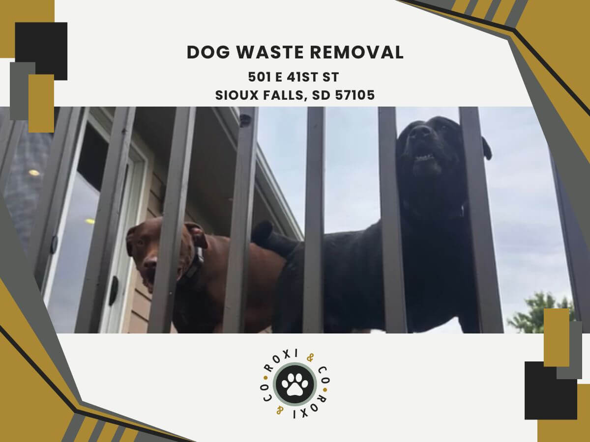 dog waste removal