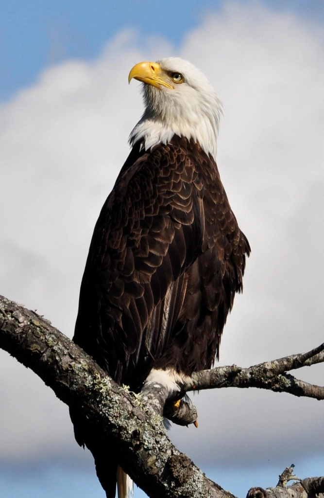 Photo by Bryan Hanson via Unsplash.com