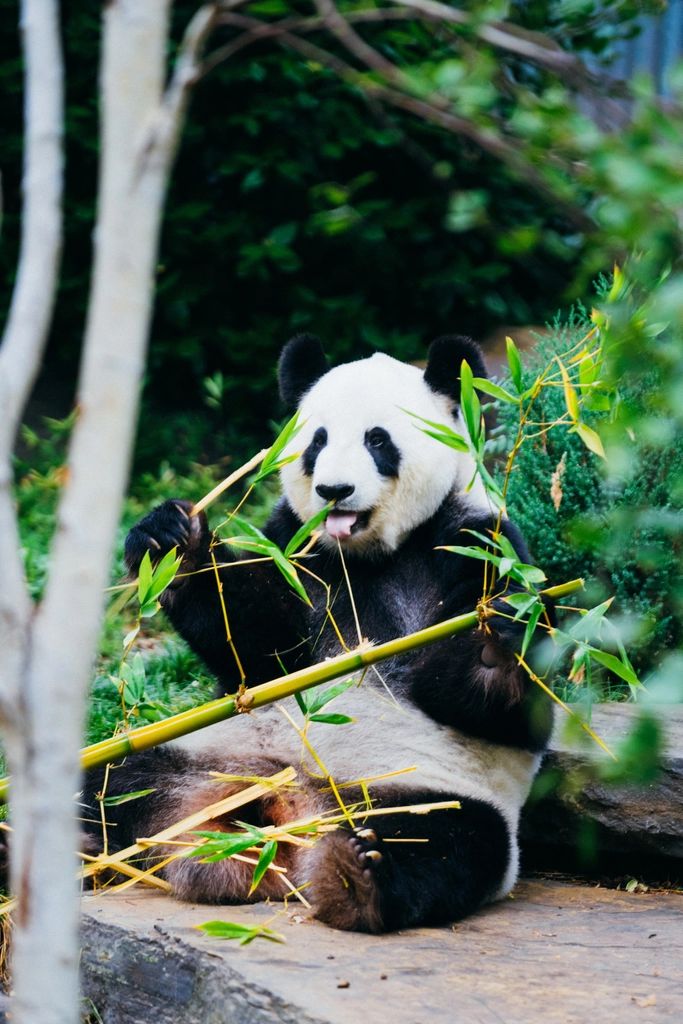 Photo by Jay Wennington via Unsplash.com